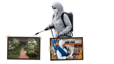 مبيدات محظورة، مهربة ومنتهية الصلاحية