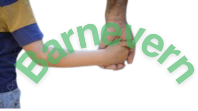 حماية الطفل في النرويج(مصلحة الطفل أولا)