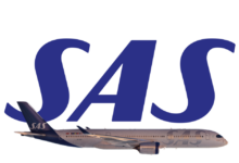 SAS  تعلق رحلاتها الى الشرق الأوسط