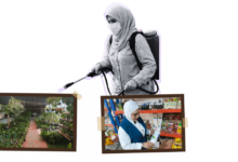 مبيدات محظورة، مهربة ومنتهية الصلاحية