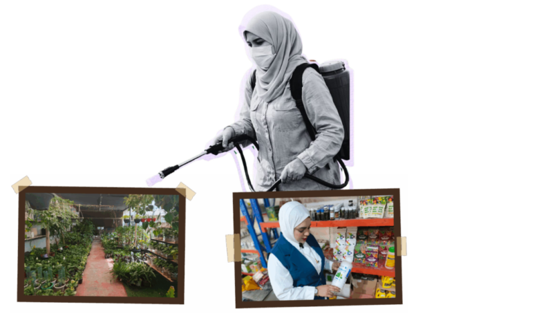 مبيدات محظورة، مهربة ومنتهية الصلاحية